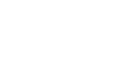 Logo Next Level Racing.
